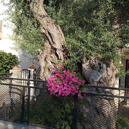 Aegean Balcony Villa Skala Kallirachis Exterior photo